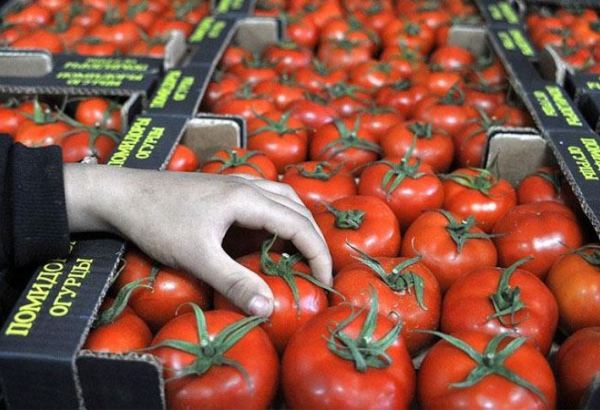 Rusiya Azərbaycanın daha 4 müəssisəsindən pomidor idxalına məhdudiyyəti götürür