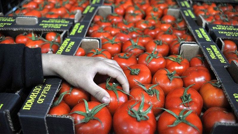 No virus detected in Azerbaijan's tomatoes export in 2020 - Food Safety Agency