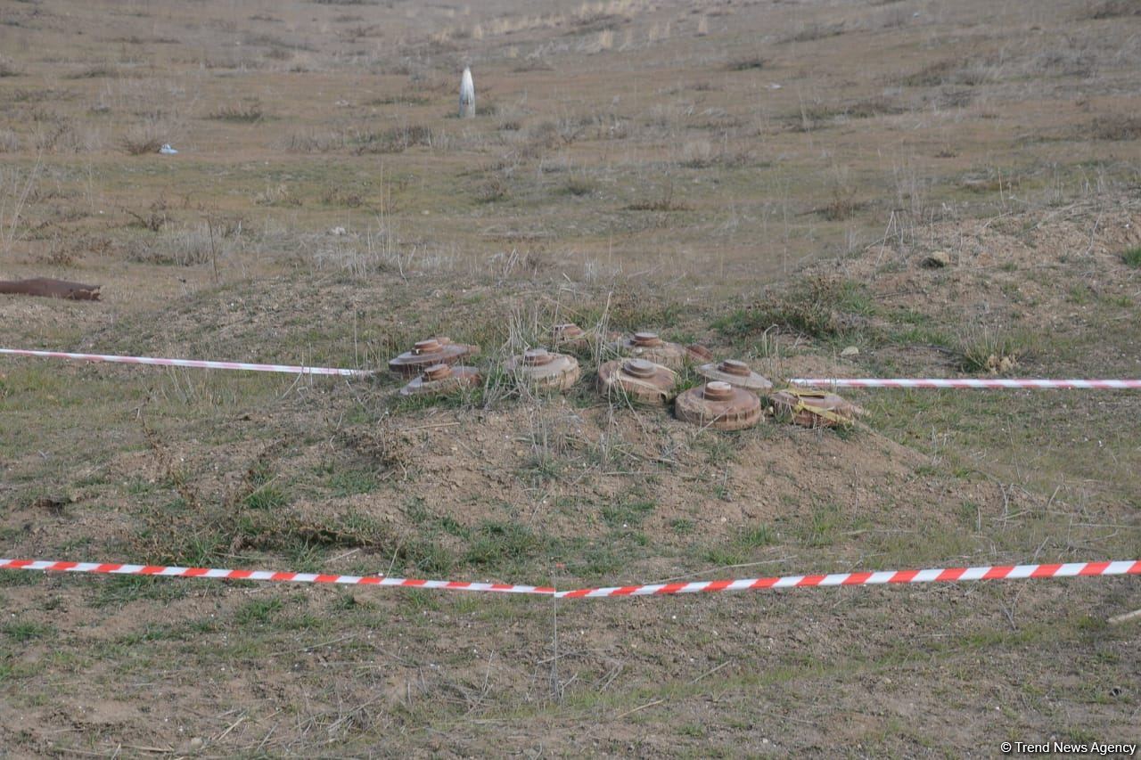 Thousands of hectares of cultivatable lands demined in Azerbaijan's liberated districts