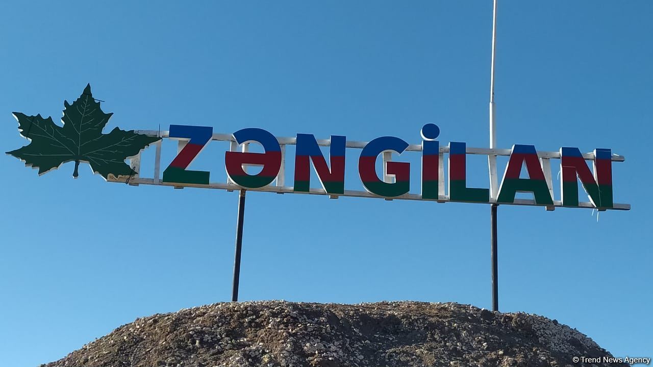 İsrail Zəngilanda camış ferması tikəcək