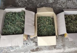Sabirabad sakinindən 3 kiloqramdan artıq narkotik götürüldü (FOTO)