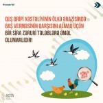 Миграция перелетных птиц через Азербайджан увеличивает риск распространения птичьего гриппа - Агентство (ФОТО)
