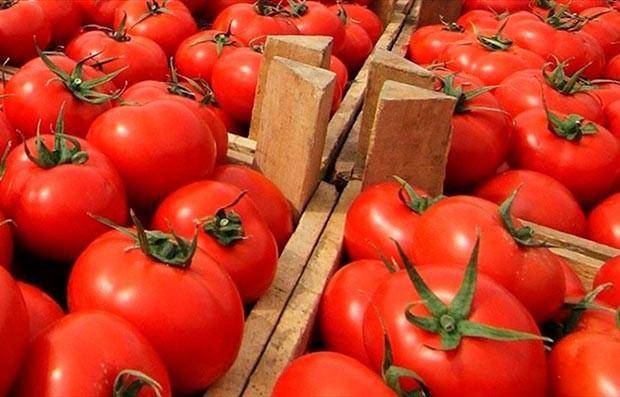 Туркменская компания экспортировала помидоры в Австрию