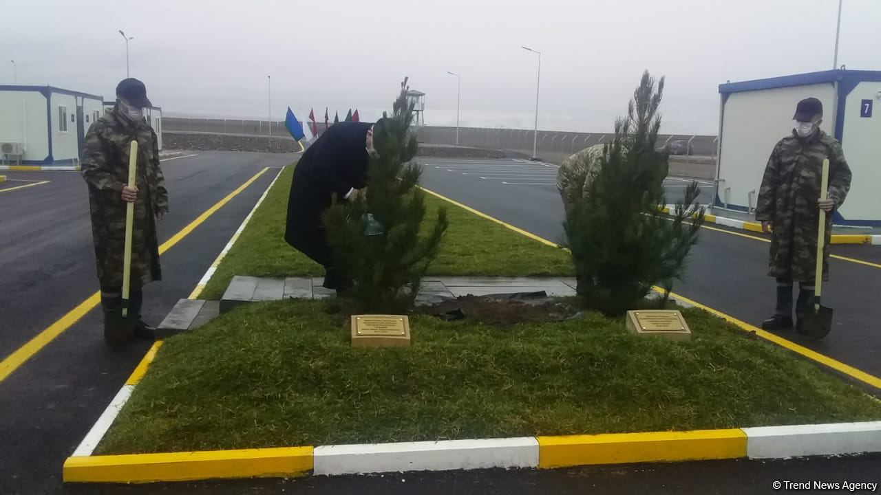 На территории Турецко-российского совместного мониторингового центра посажены деревья (ВИДЕО/ФОТО)