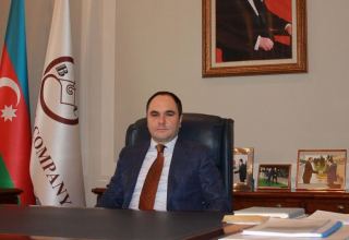 В отношении главы “Baku Steel Company”  избрана мера пресечение в виде ареста
