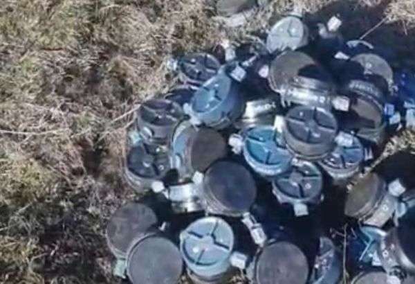 В Губадлы обезврежены 120 противопехотных мин (ФОТО)