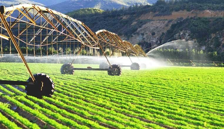 Iran seeks overseas cultivation of water-intensive crops