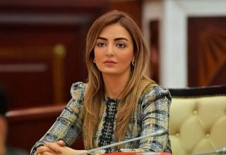 Армению нужно привлечь к ответственности за минный террор - азербайджанский депутат