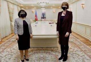 British minister, speaker of Azerbaijani parliament discuss issues on domestic violence against women