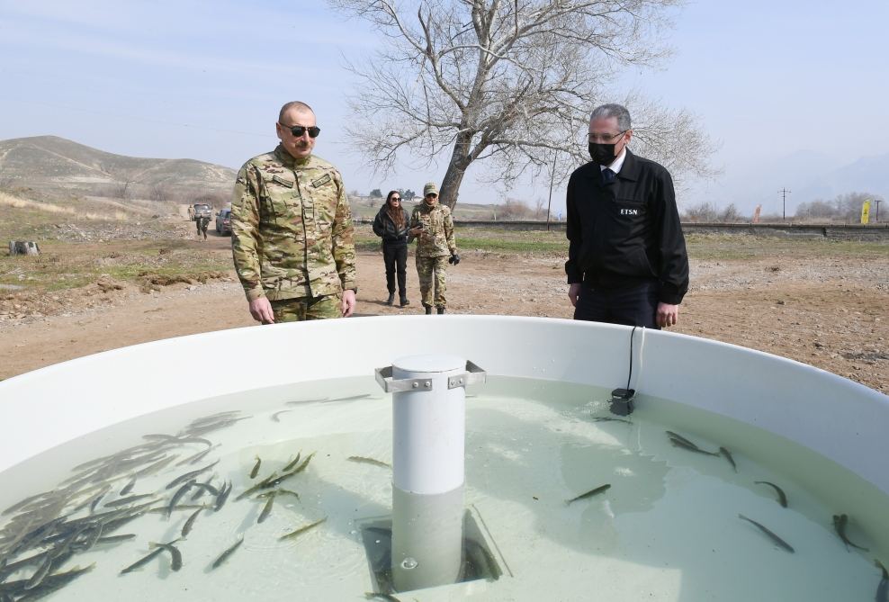 Президент Ильхам Алиев и Первая леди Мехрибан Алиева выпустили рыб в реку Баситчай (ФОТО) - Gallery Image