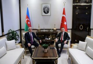 Azerbaijani PM meets with Turkish VP