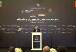 Ankarada Türkiyə-Azərbaycan biznes forumu keçirilib (FOTO) (ƏLAVƏ OLUNUB)