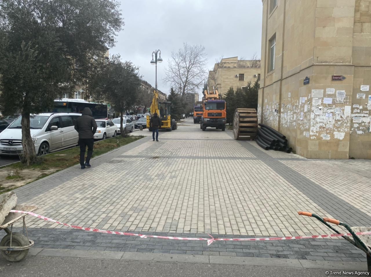 На одной из улиц  Баку пересаживаются деревья (ФОТО)
