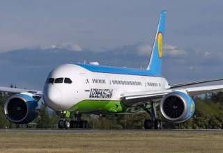 Uzbekistan Airways приостанавливает регулярные рейсы из Ташкента в Киев