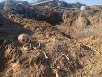 В кяхризе в Агдаме найдены  фрагменты человеческого скелета - Trend TV