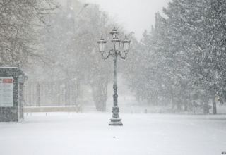 В Баку и на Абшероне ожидается снежная погода - Умайра Тагиева