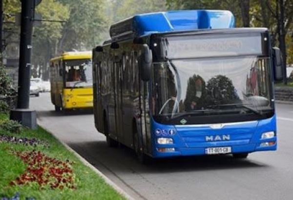Georgia extends restriction on public transport movement