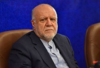 Iran's oil minister speaks about energy subsidies