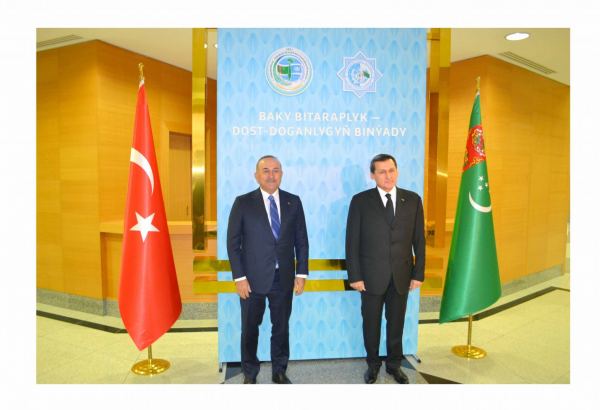 Турция и Туркменистан обсудили торгово-экономическое и культурно-гуманитарное сотрудничество (ФОТО)