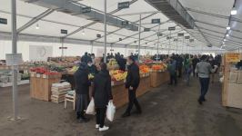 В Баку и на Абшероне вновь открылись сельхоз ярмарки (ФОТО)