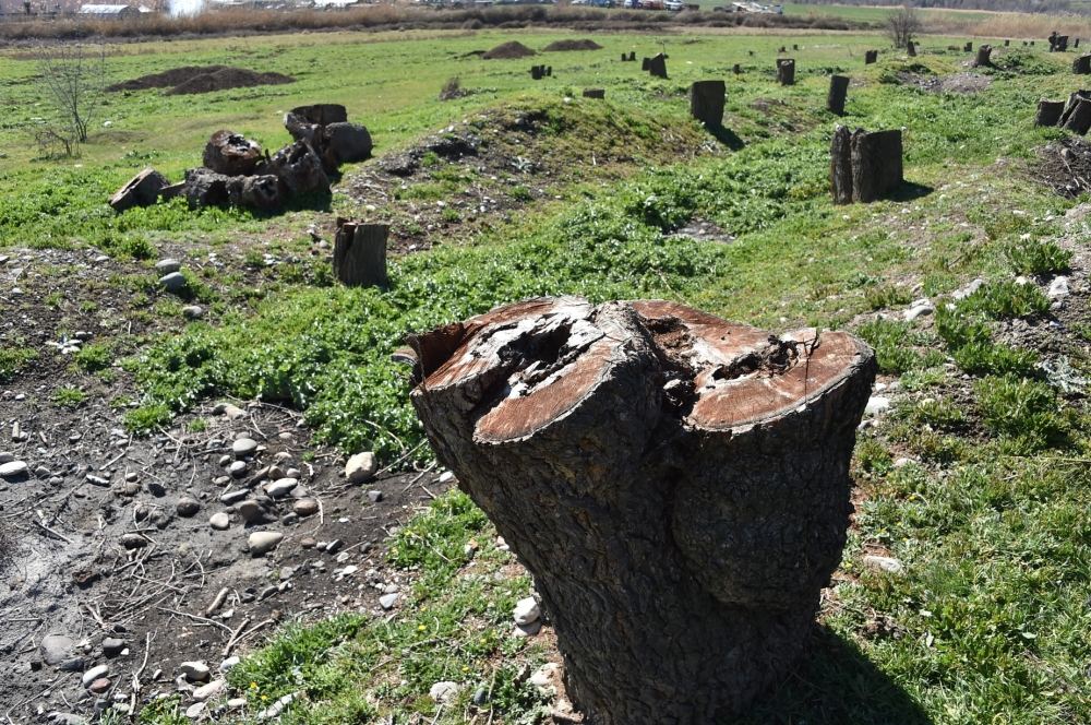 Armenian occupants seriously damage Azerbaijan's ecology - Ministry (PHOTO)