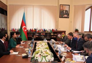 Azerbaijan's Ombudsperson calls EU to put pressure on Armenia for minefield maps