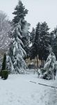 Товуз под снежным покрывалом (ФОТО)