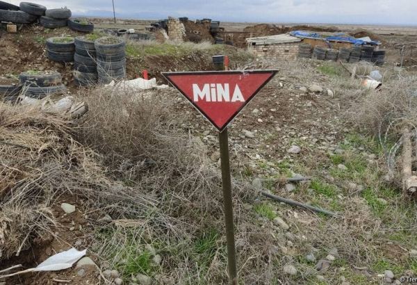 Армяне во время оккупации специально заминировали азербайджанские  земли невоенного назначения - депутат Милли Меджлиса