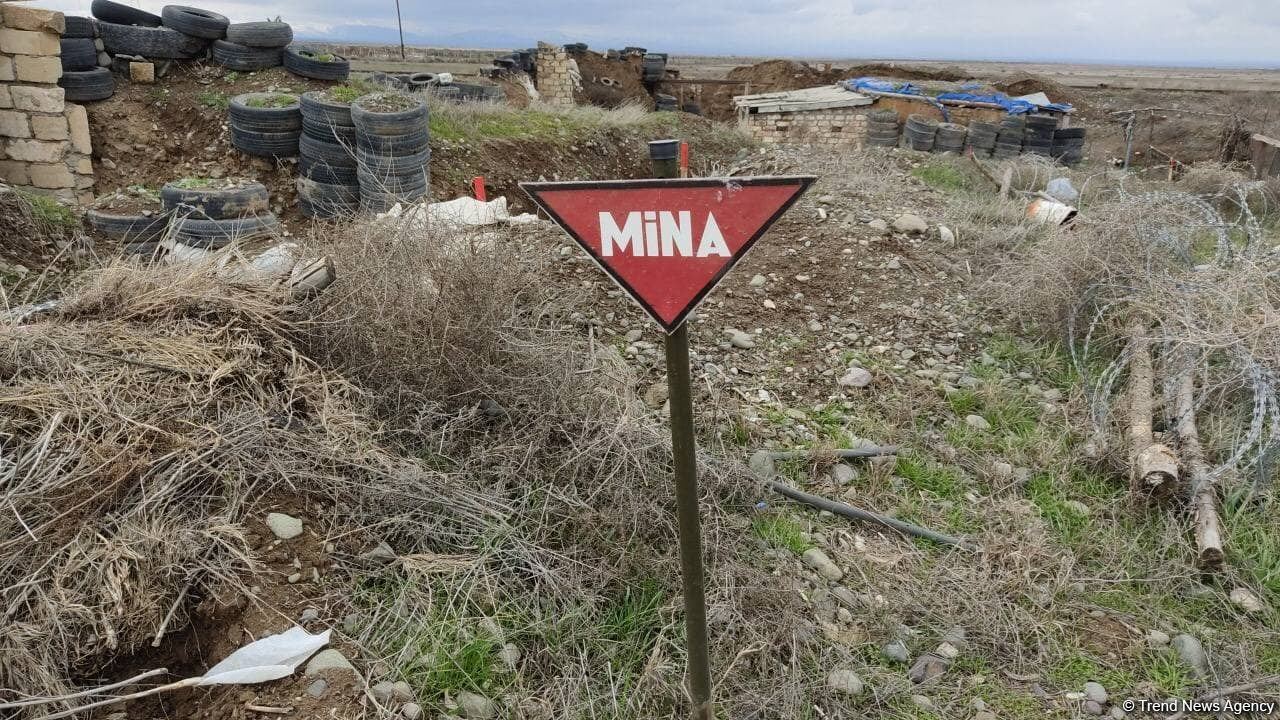 В Азербайджане от мин и неразорвавшихся боеприпасов очищена территория площадью 1 731 га - Агентство