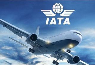 Airline body IATA to open Saudi office but denies it will be regional HQ