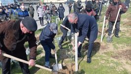 В Сабаильском районе Баку прошла акция по посадке деревьев (ФОТО/ВИДЕО)