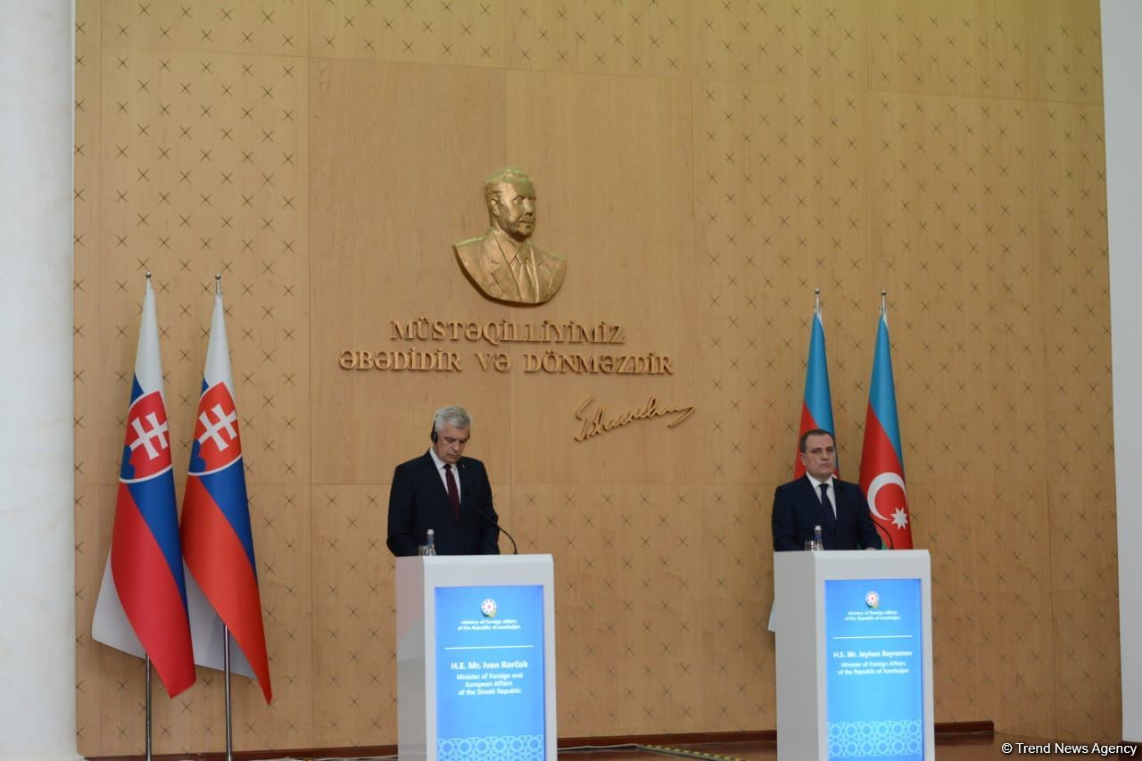 Совместная пресс-конференция глав МИД Азербайджана и Словакии (ФОТО/ВИДЕО)