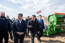 В Зангилане разбит «Сад братства» Азербайджана и Турции (ФОТО)