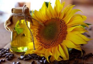 Kazakhstan increases volume of sunflower oil production