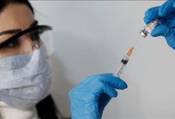 Казахстанские ученые создали первую вакцину от африканского сапа