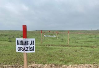 Поиск мин на освобожденных землях Азербайджана затрудняет отсутствие карт минных полей - Trend TV