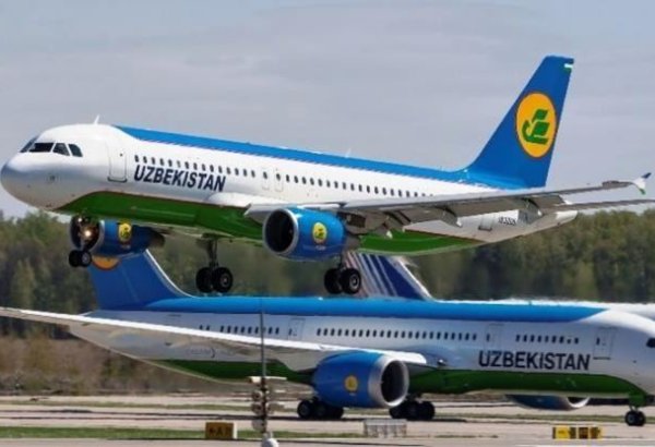 Uzbekistan Airways notes increase in monthly revenue from freight transport in 2020
