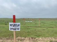 Территория в 200 тыс. кв. метров на дороге в город Шуша расчищена от мин  (ФОТО)