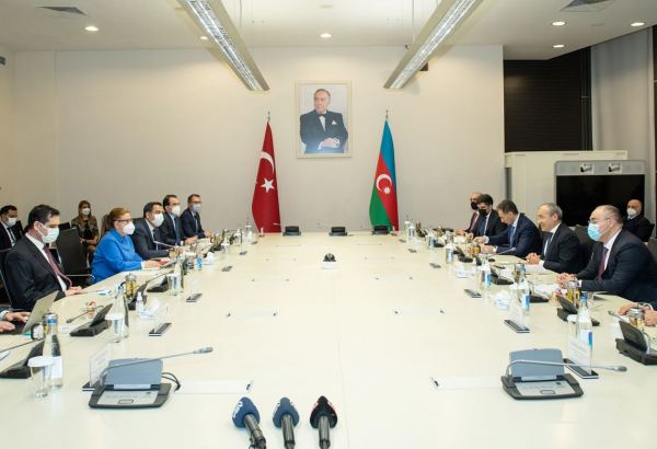 В Минэкономики Азербайджана прошла встреча с делегацией во главе с министром торговли Турции (ФОТО)