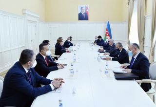 Премьер-министр Азербайджана встретился с министром торговли Турции
