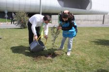 “Yaşıl Marafon” layihəsi çərçivəsində əhaliyə ağac tingləri paylanılıb (FOTO)
