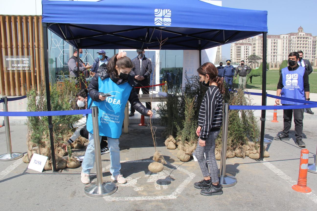 В рамках проекта “Зеленый марафон” жителям Баку розданы саженцы деревьев (ФОТО)