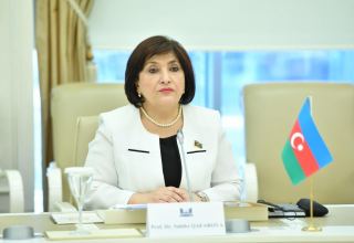Спикер парламента Азербайджана выразила соболезнования турецкому коллеге в связи с гибелью людей при взрыве на шахте