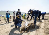 Азербайджанские таможенники присоединились к акции по посадке деревьев в рамках кампании "Зеленый марафон" (ФОТО)
