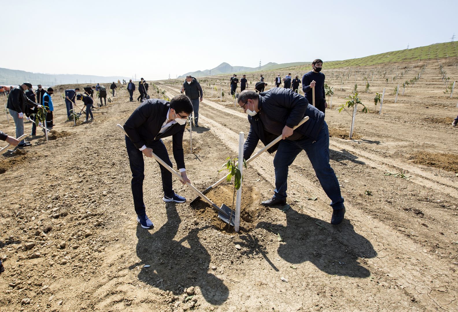 Азербайджанские таможенники присоединились к акции по посадке деревьев в рамках кампании "Зеленый марафон" (ФОТО)