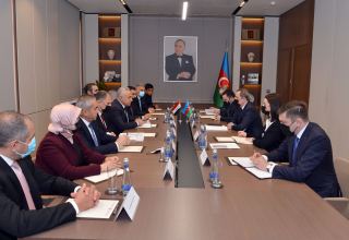 Глава МИД Азербайджана встретился с парламентской делегацией Ирака (ФОТО)