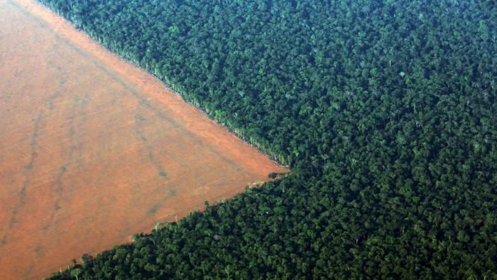Brazil seeks $1 billion in foreign aid to curb Amazon deforestation- environmental minister