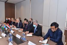 Глава МИД Азербайджана встретился с парламентской делегацией Ирака (ФОТО)