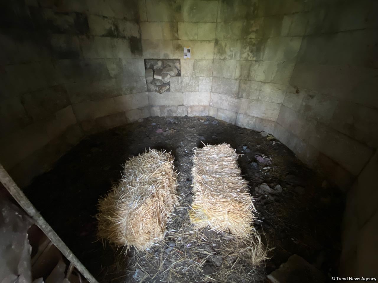 Представители ОИС посетили кладбище Имарета в Агдаме (ФОТО/ВИДЕО)