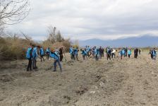 В Азербайджане в рамках "Зеленого марафона" продолжаются акции по посадке деревьев (ФОТО)